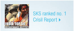 CRISIL Report